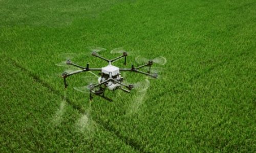 GeoAI-Driven Drone Knows When and Where to Spray Pesticide