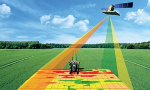 Monitor Crop Fields and Detect High-Risk Spot in Real-time